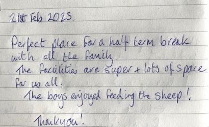 The boys enjoyed feeding the sheep!