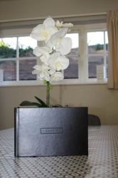 The Gilletts Cottage