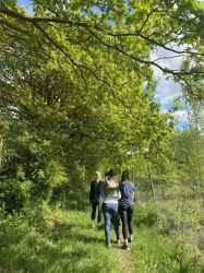 Explore our environmentally-friendly farm on farm trails on tracks around woods, meadows and ponds