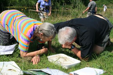 Pond dipping ... the Family Activity pack with on-farm ideas can be enjoyed by all agesl ages