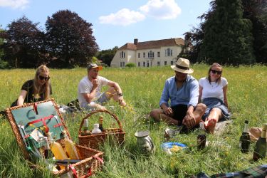 Picnic in an ancient wildflower meadow on the farm in front of our Milden Hall Farmhouse