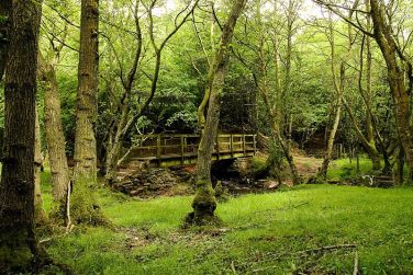 Castle Farm