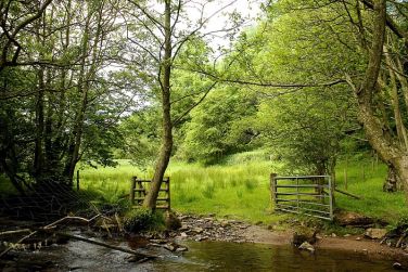 Castle Farm