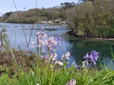 Spring at Helford Village