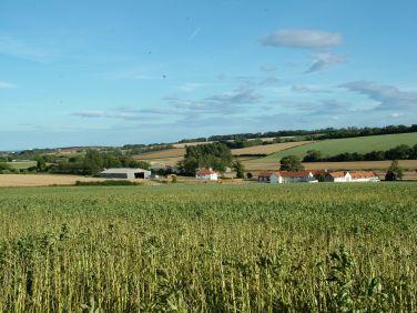 View to Easton View From Rear Farmland