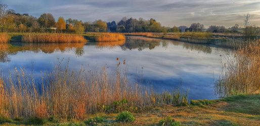 Autumn shot of main conservation lake. A grade crucian and tench.