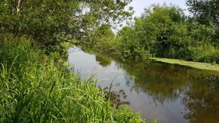 Our stretch of the river wensum