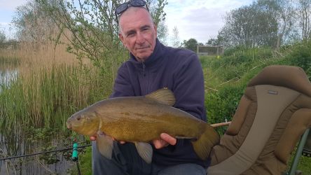 Nice tench