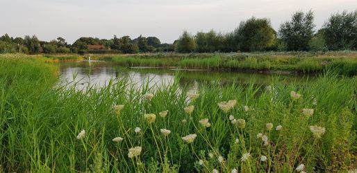 Spring round the main lake.