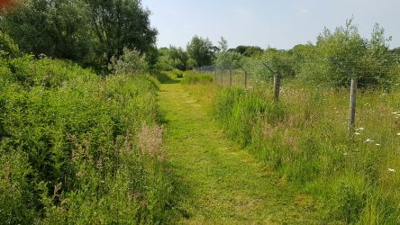 Pathway to the river