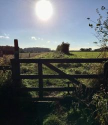 Walk from the cottage