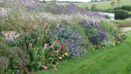 Explore our landscaped gardens during your stay (adults only)