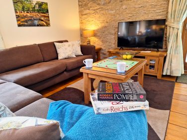 48" Smart TV with On Demand services