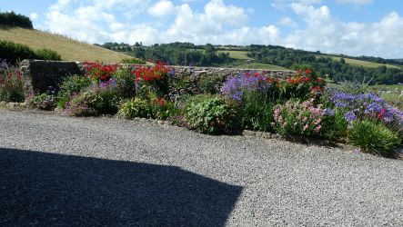Lovely flower bed visible from Nutcombe Cottage