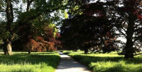 Walk in the park, 2 minutes from Nordham based cottages and 5 minutes from Hotham based properties