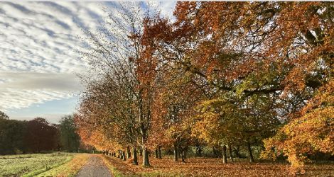Beautiful parkland on the doorstep