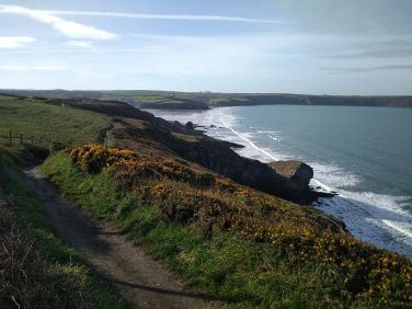 On the Pembrokeshire Coast Path (10 minutes walk from the cabin)