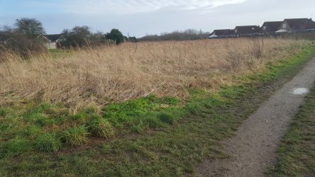 Acre gap minutes from Lavender Cottage, makes a very pleasant walk over to the beach