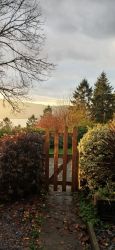 Autumn colours at Caban Dyfi