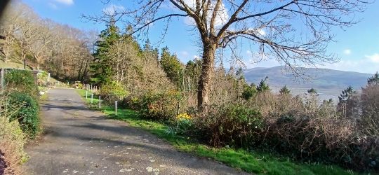 Caban Dyfi location - quiet cul-de-sac lane on the hillside