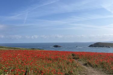 Churchtown Cottage, Crantock