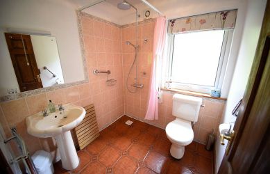 Downstairs (accessible) shower room