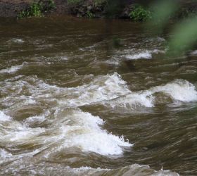 Wild water swimming on the door step at Wye Rapids House Symonds Yat Herefordshire www.bhhl.co.uk