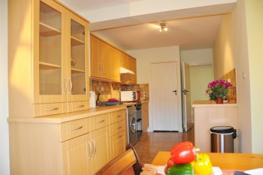 Downstairs kitchenette