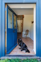 Dogs welcome!