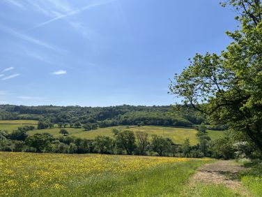 One of many walks from the cottage