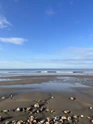 The beach at Charmouth