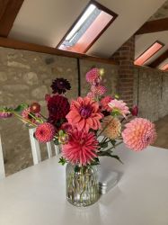 Dahlias from Dorset Dahlias