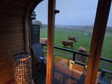 Woodland Hut