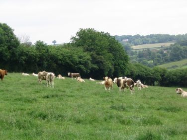 On footpath to church (15 mins walk)