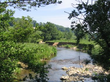 The river Yarty  - just about deep enough for wild swimming or to refresh a hot dog.