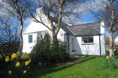 A Spring Day in the Garden