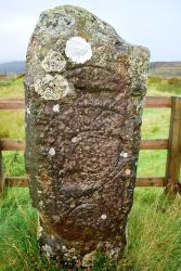 The Clach Ard Pictish Stone near Crepigill Cottage