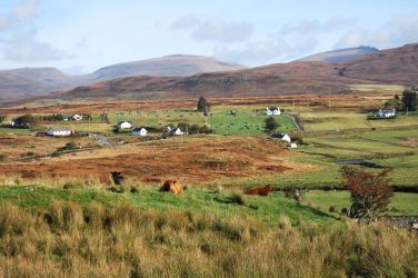 View from Caroline Hill towards Crepigill - a lovely walk from the cottage