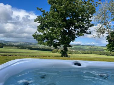 Lazy Sunday morning, how they should be spent!