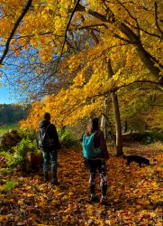 Spent days exploring the countryside and then relaxing in the hot tub at night.