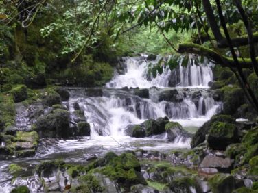 One of several waterfalls on our brook. there is even a wild dipping pool
