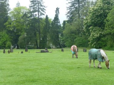 Horses grazing in our front field and the stone circle