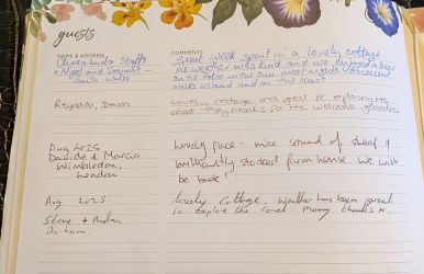 Guest Reviews August 2025