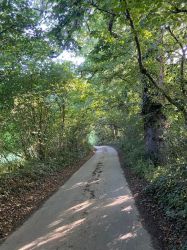 Strongate Lane, Salway Ash - www.strongate.co.uk