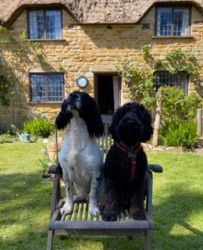 Strongate Cottage - pet friendly - www.strongate.co.uk