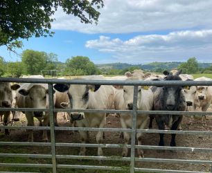 Strongate Cottage Rural Retreat