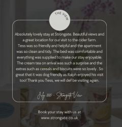 2025 review www.strongate.co.uk