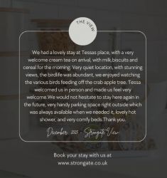 2025 review, www.strongate.co.uk