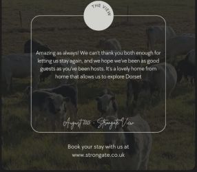 2025 review, www.strongate.co.uk