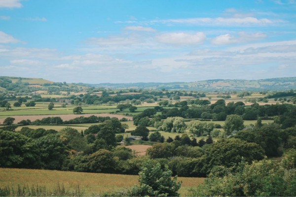 Strongate View Apartment